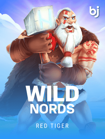 WildNord game icon