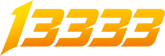 bd13333.com Logo